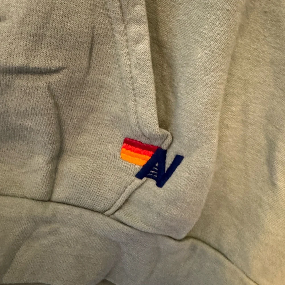 Aviator Nation Sage Hoodie with Multicolor Logo - Picture 2 of 5